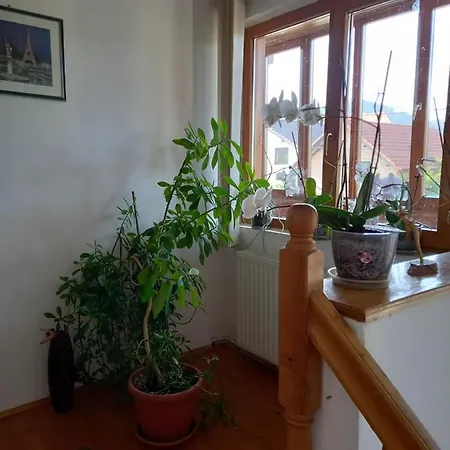 Kwatera prywatna Stefana Râșnov
